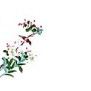 peinture chinoise